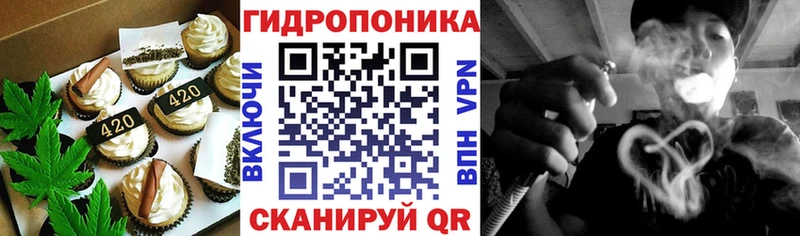 MEGA онион  Завитинск  shop какой сайт  Печенье с ТГК марихуана 