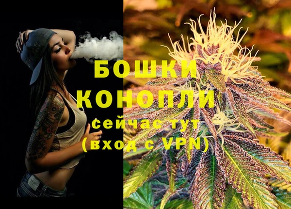 прущие грибы Бугульма