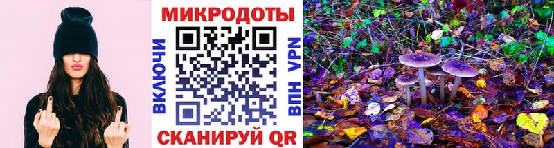 закладка  Завитинск  Псилоцибиновые грибы прущие грибы 